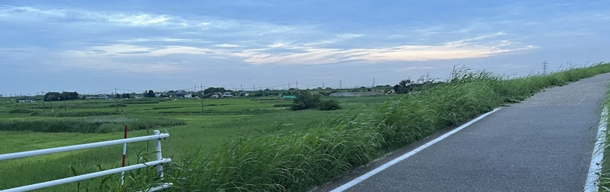 運河大橋より