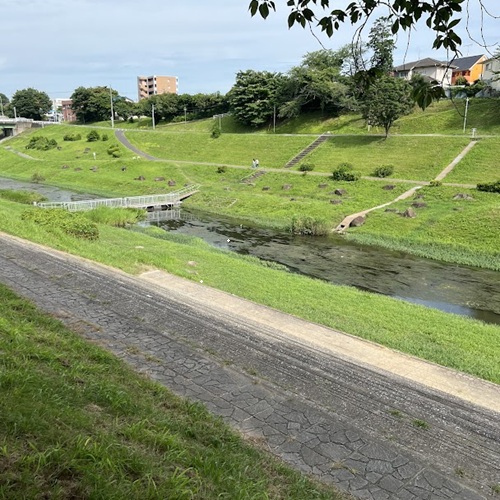 運河水辺公園より